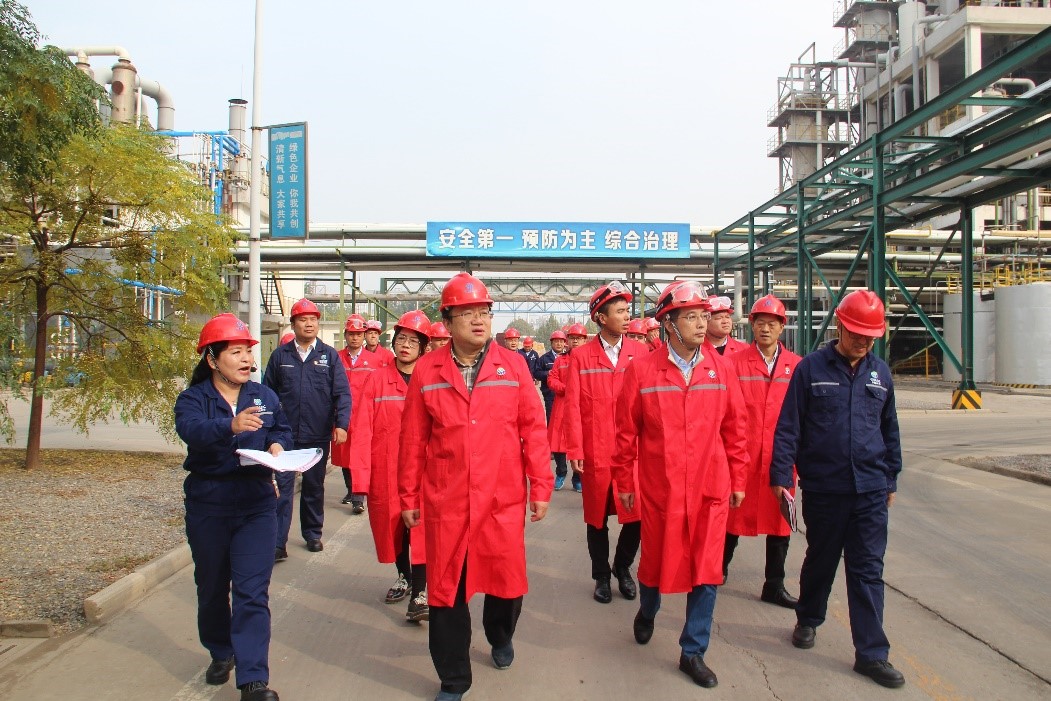 281613445msd.jpg 281613445msd.jpg